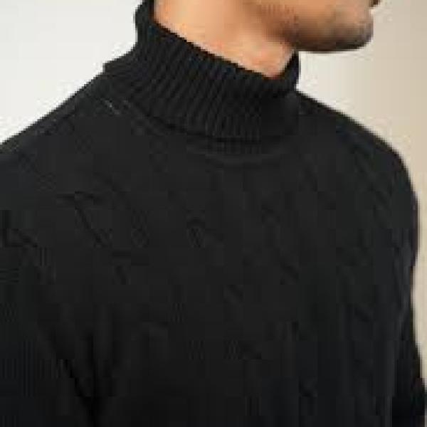 Knit Turtleneck Sweater (Digital)